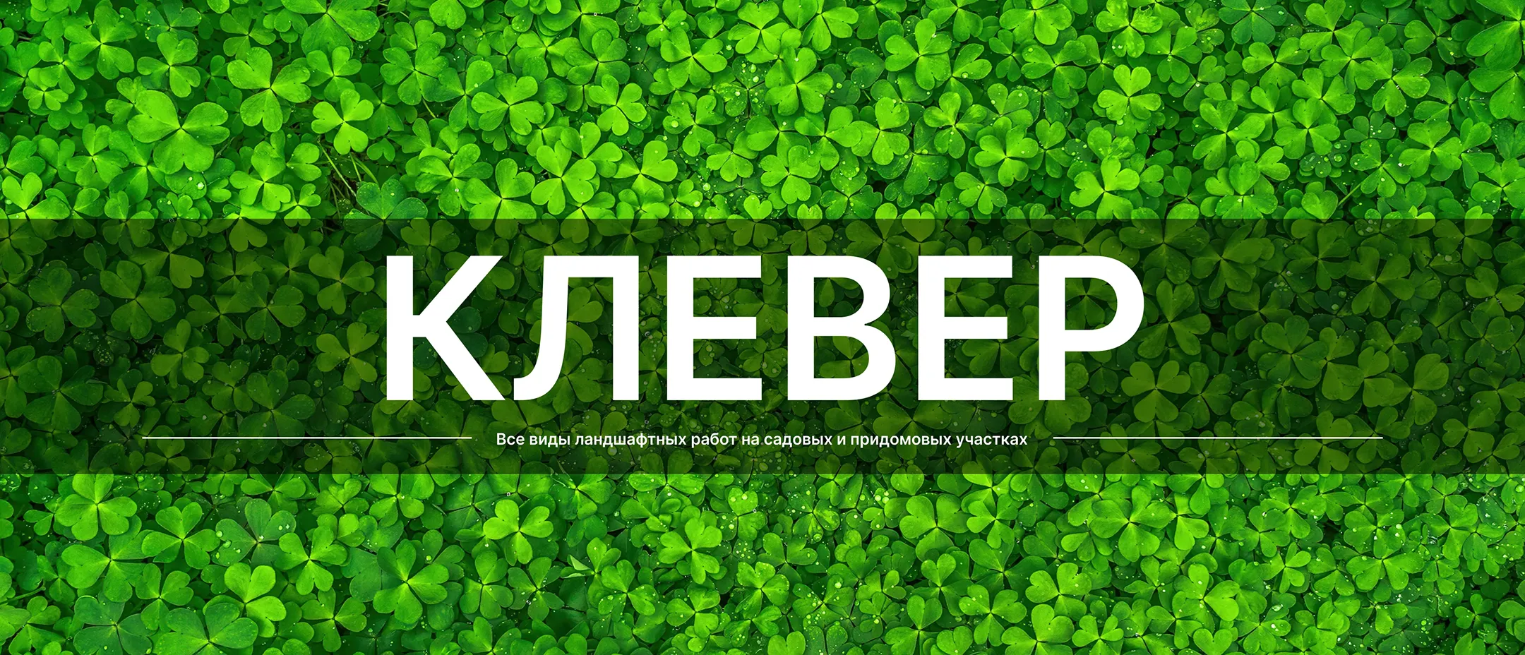 Логотип студии ландшафтного дизайна Клевер